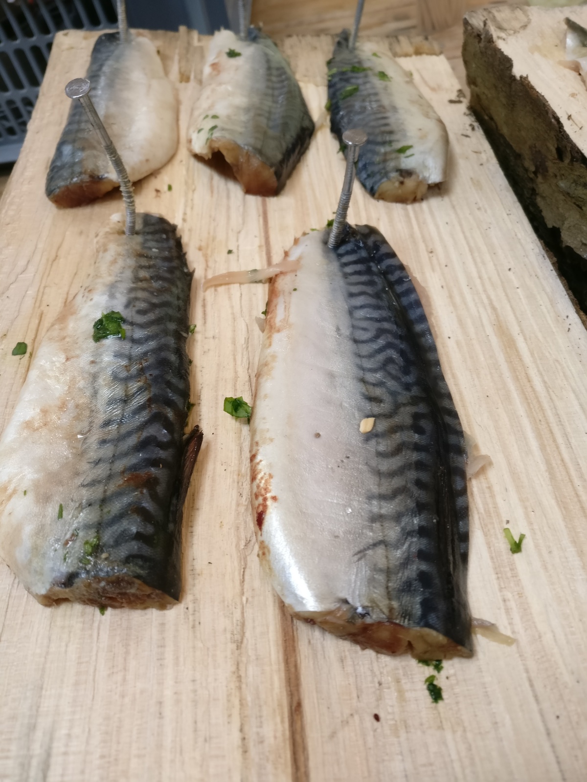 FB IMG 1492186818800